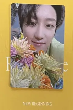 ランダムトレカ【ディエイト⑤】SEVENTEEN SECTOR17 リパケ