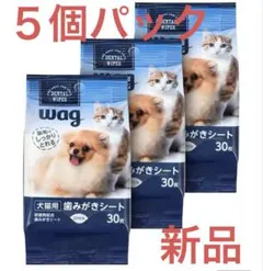 Item thumbnail for item 9baf0303-2045-49dc-bd99-0b48d1a6b652