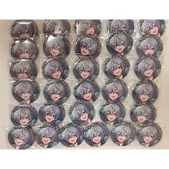 ホロスターズ ホロスタ 奏手イヅル 誕生日記念2024 缶バッジ 20個