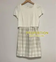 プロポーション ボディドレッシング メモリーチェックワンピース ベージュ 3