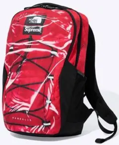 ゆ*こ様 美品⭐︎The North Face Supreme リュック 2025年最新】supreme x the north face リュックの人気アイテム