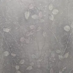 Item thumbnail for item a21631bd-ba02-4b0c-8ae1-6e1e79b2a445