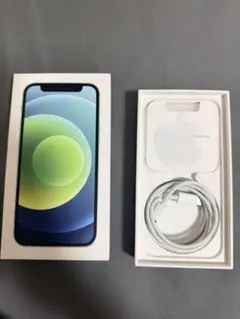 iPhone 12 miniミントグリーン 充電ケーブル ケース付き