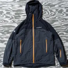 Item thumbnail for item 4ecd20bb-6da7-45d6-9ba0-39d688e96140