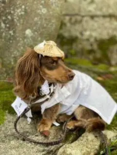 コーンポタージュ様 リクエスト 2点 まとめ商品