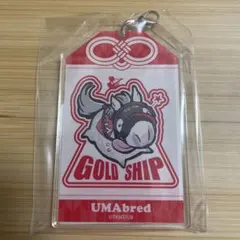 umabred くじ　スクラッチ　アクリルチャーム　お守り風 ゴールドシップのサムネイル