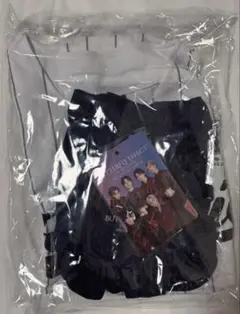 fantastics ミュージシャン