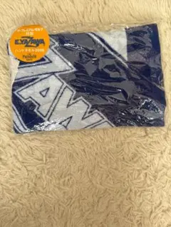 Item thumbnail for item 699e8667-c437-424d-a096-b4c0cb04e57e