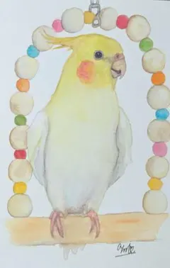 むー様 リクエスト 2点 まとめ商品