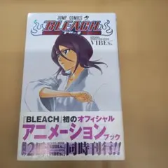 Bleach official animation book vibes　初版