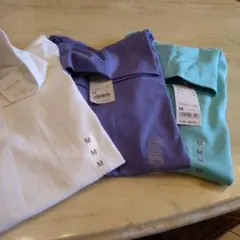 Item thumbnail for item d793d690-1a95-4497-8973-c3ce5d2251a1