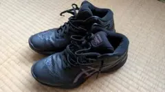【クリスさん専用】ASICS バッシュ 黒 GELHOOP V14