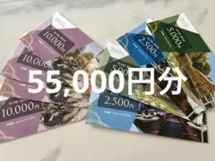 2026年最新】ウェルスマネジメント株主優待券の人気アイテム - メルカリ