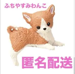 ふちやすみ 色々わんこ2 チワワ