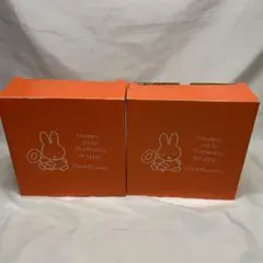 ミッフィー 誕生日デザイン 陶器ボウル 2個セット