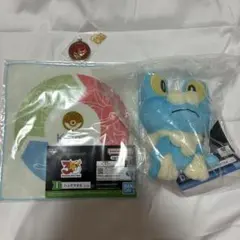ポケモン 一番くじ カルロス地方　ケロマツ　セット