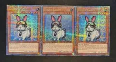 2026年最新】強欲で謙虚な壺 25thの人気アイテム - メルカリ