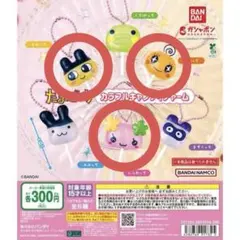 たまごっち キャンディチャーム まめっち めめっち ふらわっち