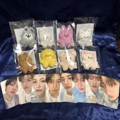 straykids スキズ skzoo マイクロ キーリング トレカ セット