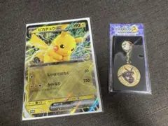 ポケモンメガスタンプラリー2025 ピカチュウ　レックウザ