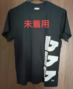 Item thumbnail for item f09a3eb9-bd70-4628-9a94-1f5146c0ecac