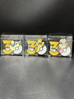 即日発送 ポケモン 30周年 マグネット メリープ モココ デンリュウ