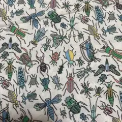 Item thumbnail for item 0aef3337-e5d9-4e28-8868-91d0d6246cc4