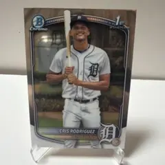 Item thumbnail for item 860dded9-554a-4bd6-8d1f-417baf5297f7