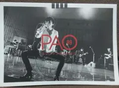 エレファントカシマシ　ファンクラブPAO会員限定 DVD 非売品 美品！最終価格 エレファントカシマシ ファンクラブ会報 PAO/パオ 92