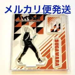 菅原孝支　アクリルフィギュアコレクション　第1弾　ハイキュー　アクフィ　烏野