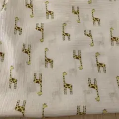 Item thumbnail for item 1450a20f-15ae-45ce-8532-1e8848d658c9