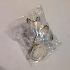 うちの子のけだまだま　限定アソート　黒柴