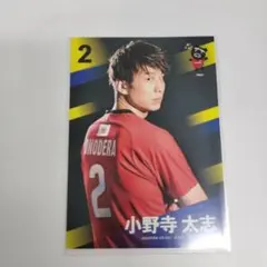 Item thumbnail for item d8df1dfb-4ad0-4282-b819-192eb680fb5f