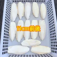 ㉟カトルボーンのサムネイル
