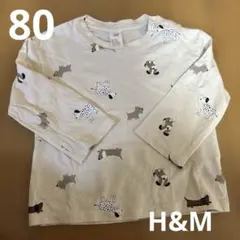 Item thumbnail for item 405623d5-d9cb-427e-b79e-922984482547