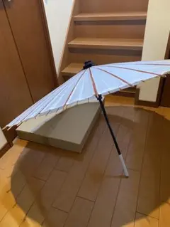 Item thumbnail for item 92cf1038-3c17-4f04-a557-af04dff6da21