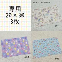【専用】ランチョンマット 20×30 3枚セット 女の子用