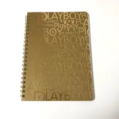 Item thumbnail for item 239e4e49-3518-4500-84d8-7c7fae6794d7