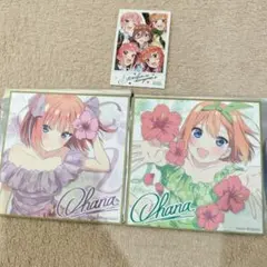 2枚セット　ミニ色紙　ステッカー1枚　五等分の花嫁　入場者特典