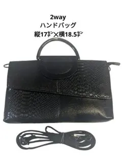 【2way】 クロコダイル風 ハンドバッグ
