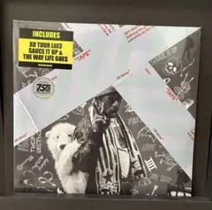 DJ Shadow Excessive Ephemera 2LP - メルカリ