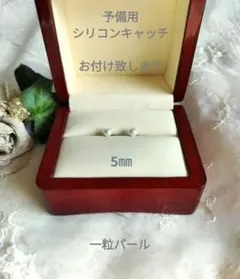 Item thumbnail for item 7389da22-c2c8-4e35-bebb-fd246890edd7