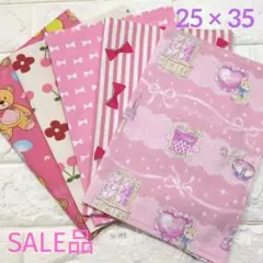 ランチョンマット25×35 5枚セット 女の子　No.293