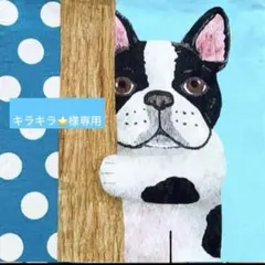 キラキラ⭐️様専用　　ひょっこりアニマル