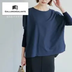 ガリャルダガランテ／美品！ジョーゼットコンビブラウス長袖ver. ネイビーのサムネイル