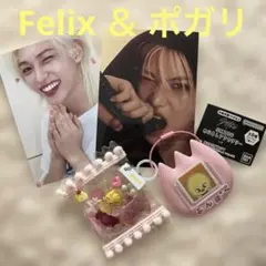 SKZOO めじるしアクセサリー ポガリ