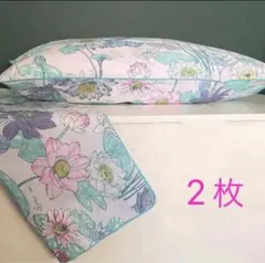 Item thumbnail for item 5baad4a0-36f0-458a-bc28-2890e36a36a3