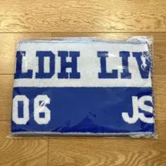 三代目 JSB 岩田剛典 LDH EXPO 2024 マフラータオル