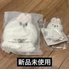 straykids リノ マイクロ アウトフィット