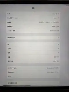 iPad Pro 12.9 第5世代256GB Wi-Fi ケース付き 動作良好